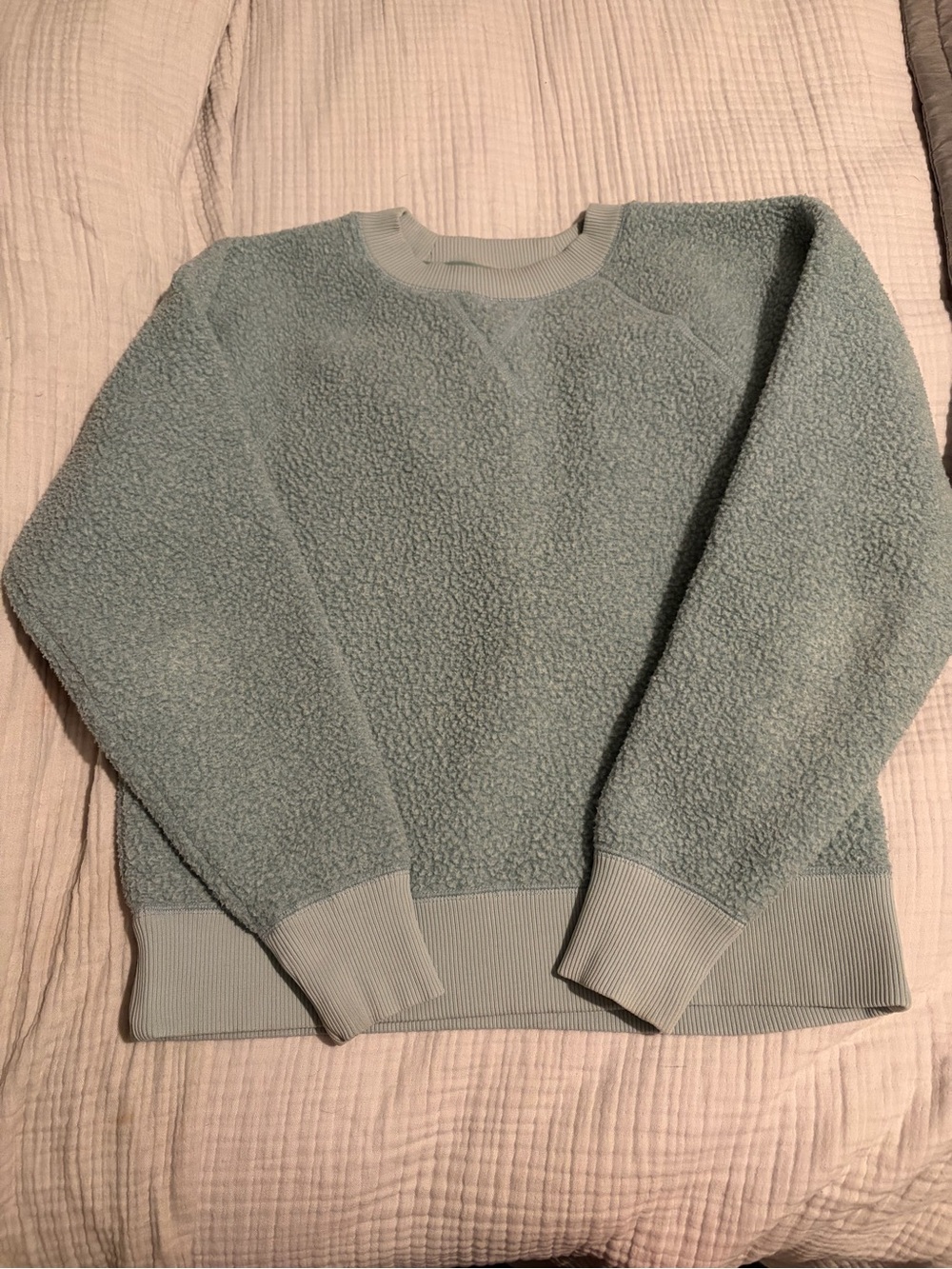 Everlane women's light sage sherpa pullover